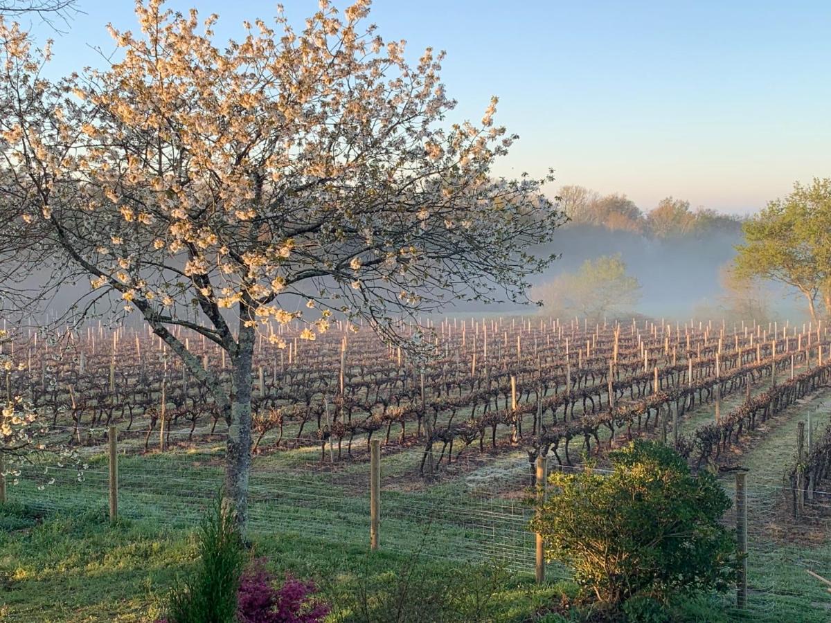 Lauberge De Nogaro Caupenne-d'Armagnac Kültér fotó